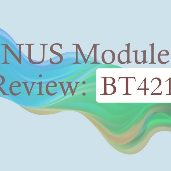NUS Module Review: BT4212 Search Engine Optimization and Analytics