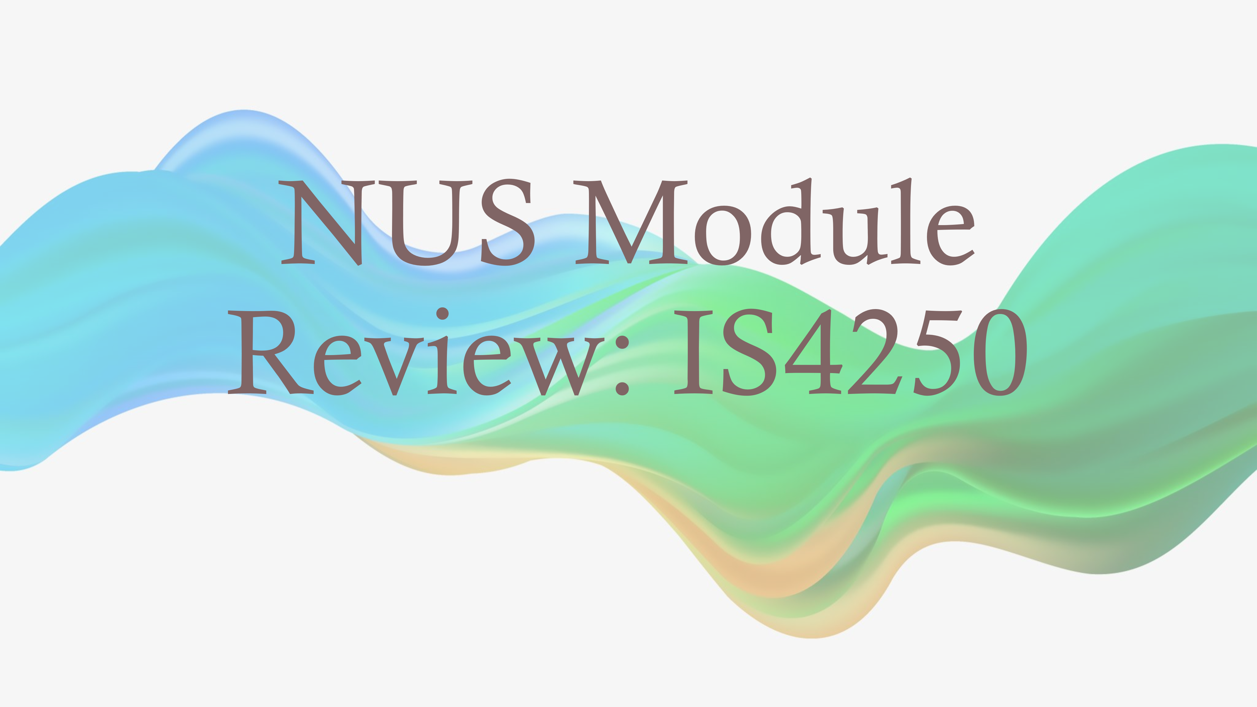 Read more about the article NUS Module Review: IS4250 IT-enabled Healthcare Solutioning