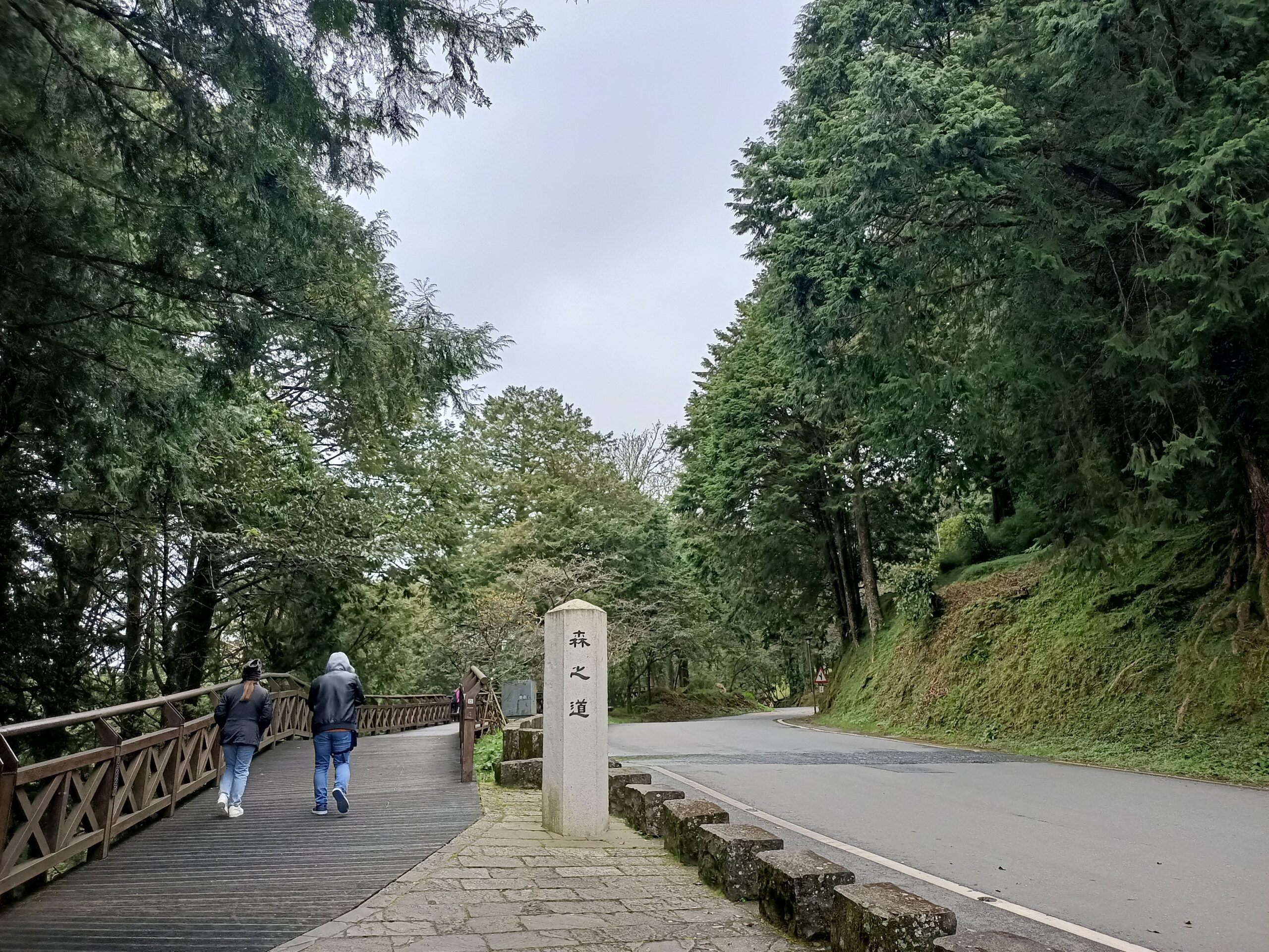 Beginning of Alishan forest trail