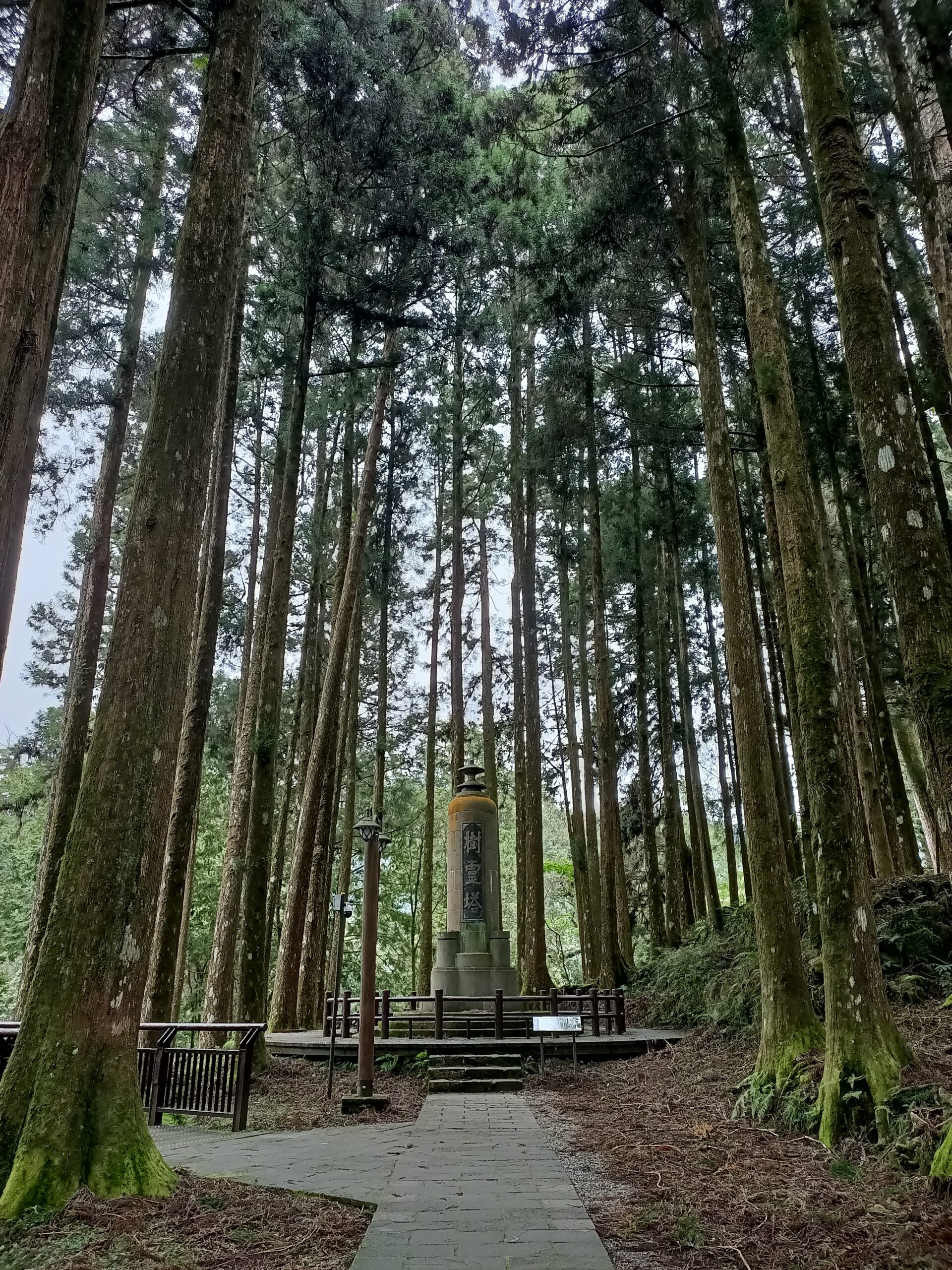 Tree Spirit Pagoda